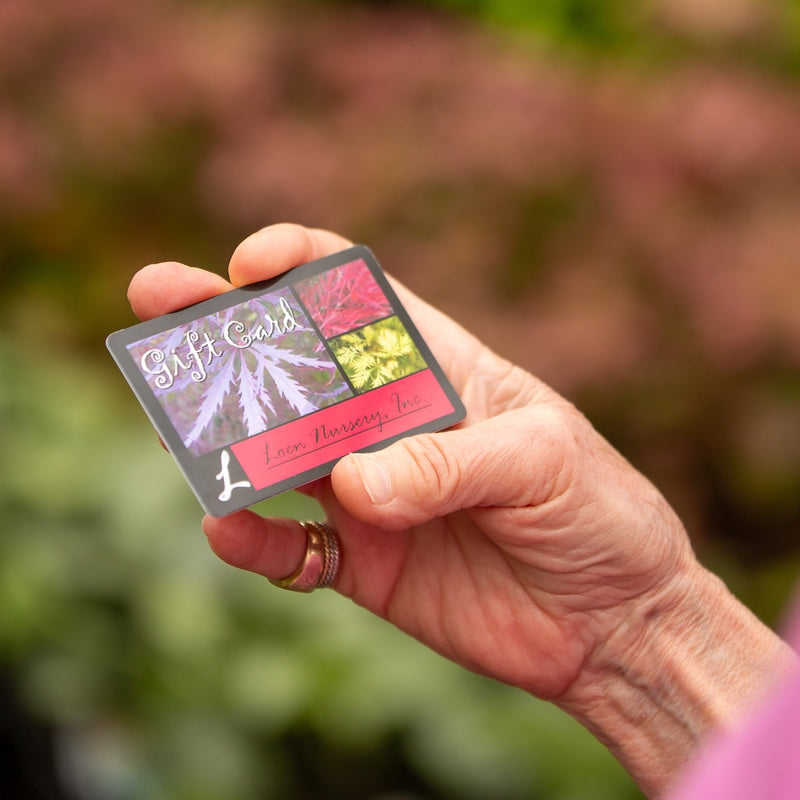 Loen's Garden Center Gift Card