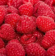 Berry, Raspberry 'Kokanee'