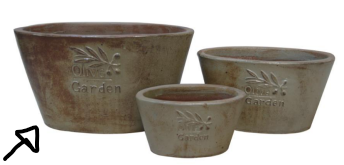 POT 43343 (P1)