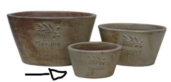 POT 43343 (P1)