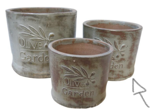 POT, 43356 (P1)