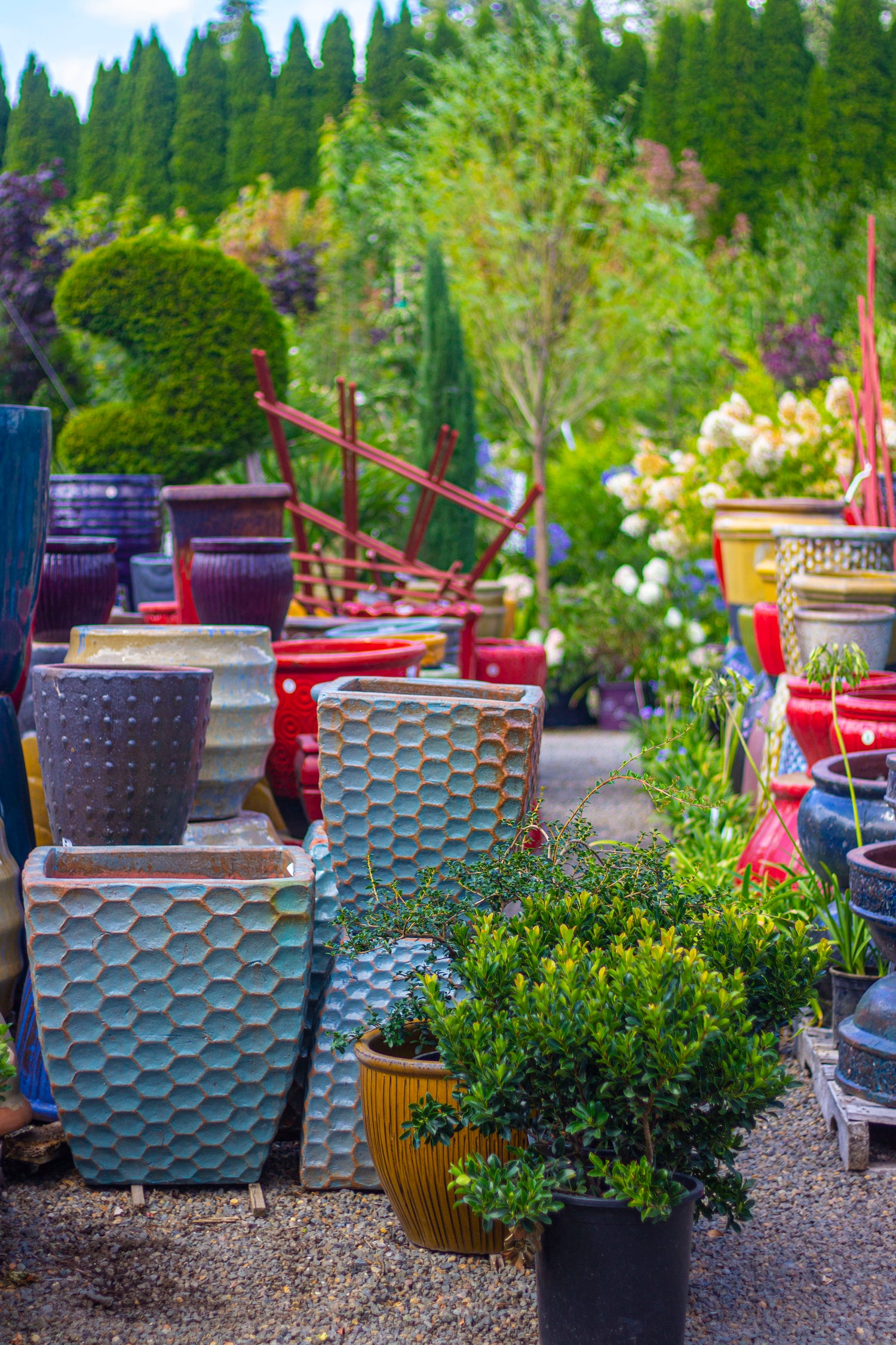 Image with text section