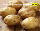 Linnton Feed and Seed Potatoes 'German Butterball'