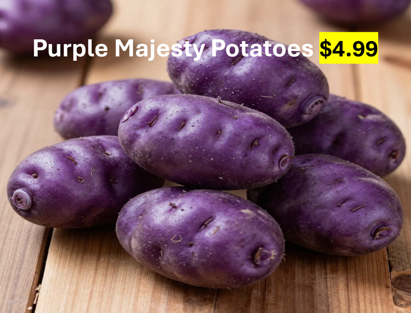 Linnton Feed and Seed Potatoes 'Purple Majesty'