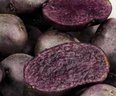 Netherland Potatoes Purple Majesty