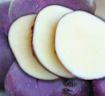 Netherland Potatoes Huckleberry Gold