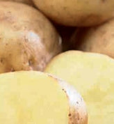 Netherland Potatoes Cal White