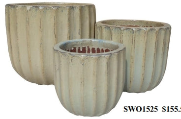 POT, SWO1525 (P11)